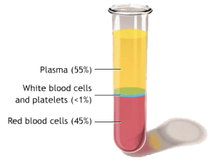 What is Platelet-Rich-Plasma or PRP therapy