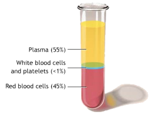 Platelet Rich Plasma join therapy