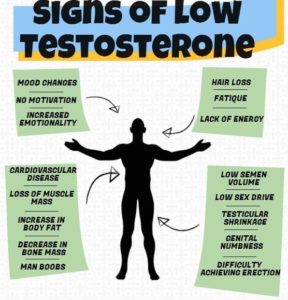 8 Signs Of Low Testosterone Levels | Blog | HealthGAINS