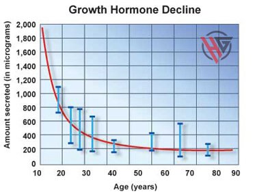 growth hormone decline chart