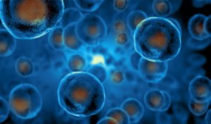 What Is Stem Cell Therapy and How Does It Work?